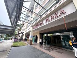 Balmoral Plaza (D10), Retail #540668271
